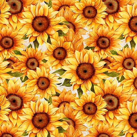 SUNFLOWER SERENADE       